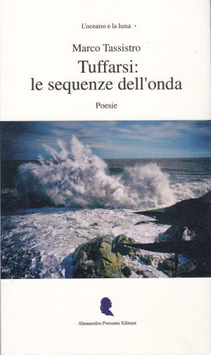 Tuffarsi: le sequenze dell'onda, copertina